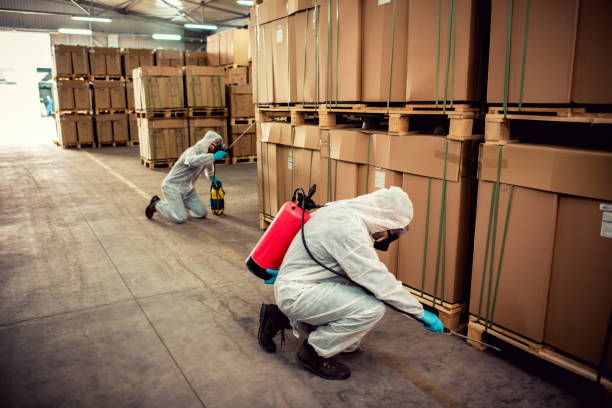 Best Affordable Pest Control Services  in Eyota, MN