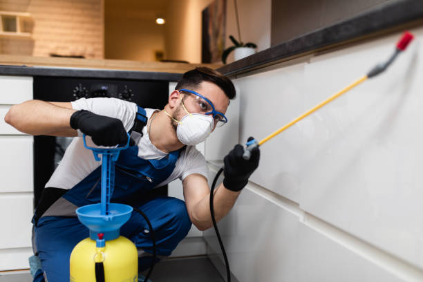 Best Flea Control Services  in Eyota, MN